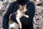 Sertab Erener’den deprem bölgesindeki hayvanlara yardım