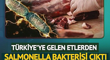 Türkiye’ye gelen 20 ton etten bakteri çıktı!